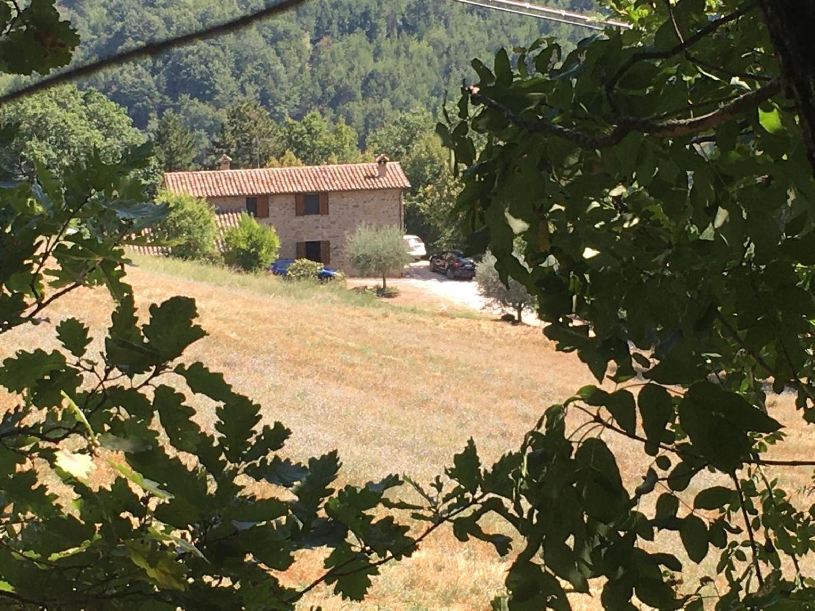 Agriturismo Casa Del Nonno 발파브리카 외부 사진